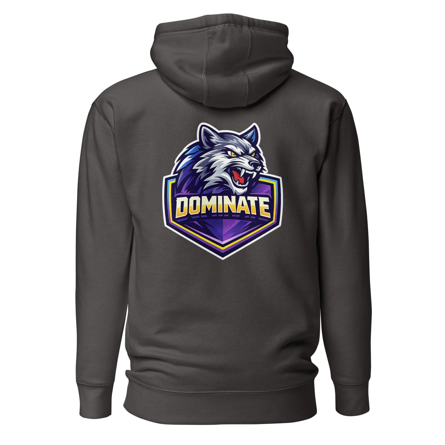 Hoodie DOMINATE gris anthracite visuel coloré dos et logo blanc face Mindset Ambition
