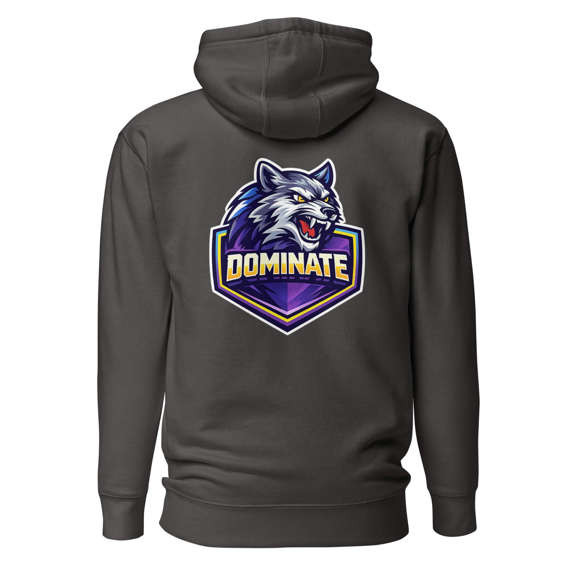 Hoodie DOMINATE gris anthracite visuel coloré dos et logo blanc face Mindset Ambition