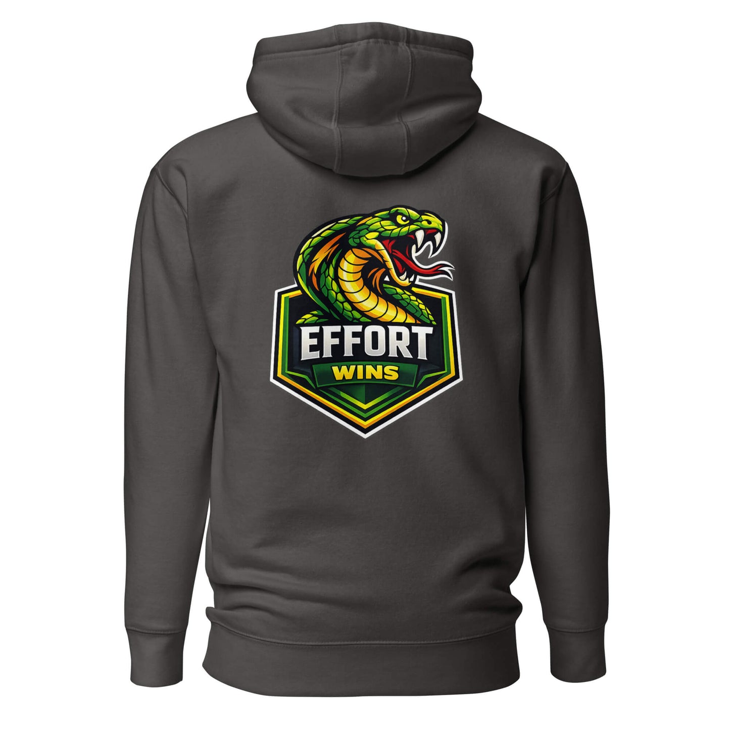 Hoodie EFFORT WINS gris anthracite visuel coloré dos et logo blanc face Mindset Ambition