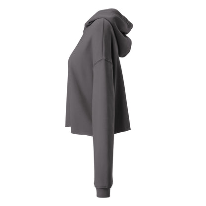 Sweat crop-top femme Fearless Mindset Ambition, gris, vue latérale gauche, coupe courte et confortable, capuche ample et tissu doux – Mindset Ambition